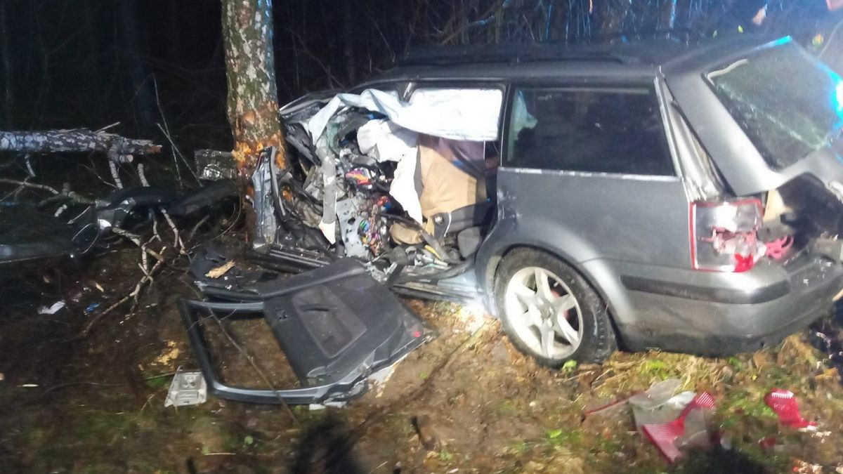 Passat rozbił się na drzewie 