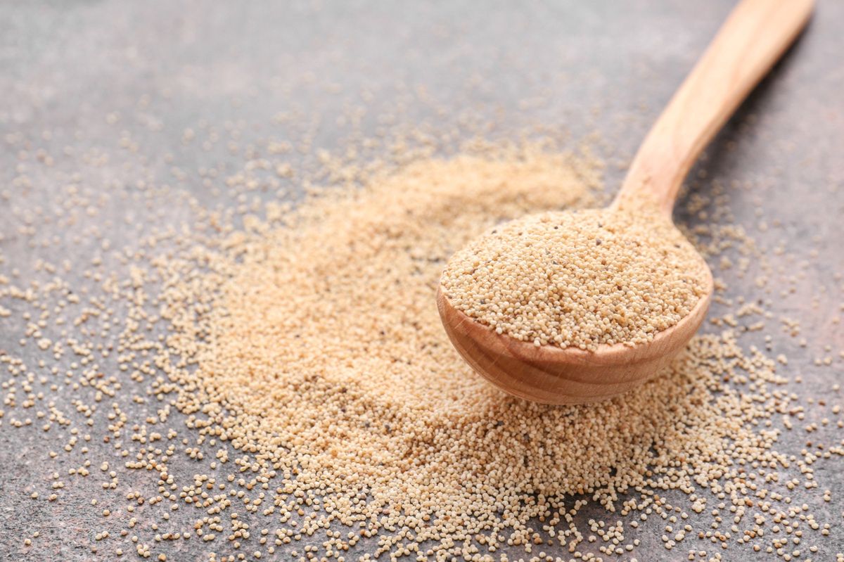 A wooden spoon with grains of white poppy seeds