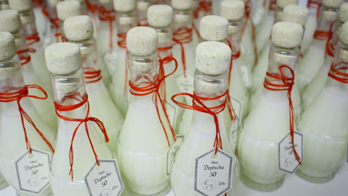 Nalewka deptycha - Pyszności