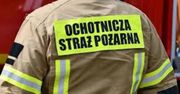 Niecodzienna akcja służb pod Warszawą. Strażacy uratowali psa, który utknął pod drewnianą konstrukcją