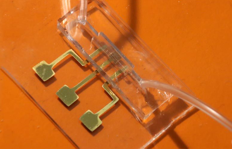 Ten chip wykryje przeciwciała COVID-19 w kilka sekund. Naukowcy drukują go w 3D