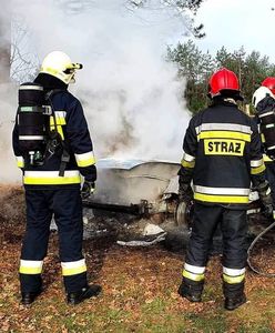 Makabryczne odkrycie pod Zieloną Górą. Dwie łopaty, szczątki i spalony samochód