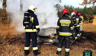 Makabryczne odkrycie pod Zieloną Górą. Dwie łopaty, szczątki i spalony samochód