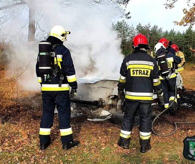 Makabryczne odkrycie pod Zieloną Górą. Dwie łopaty, szczątki i spalony samochód