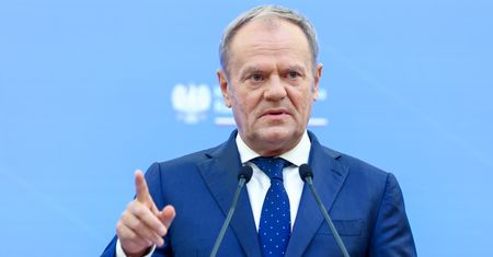 Tusk skomentował słowa lidera AFD. Uderzył w Nawrockiego