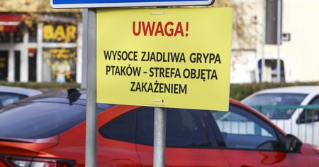 Koniec spekulacji. KE decyduje ws. ptasiej grypy w Polsce
