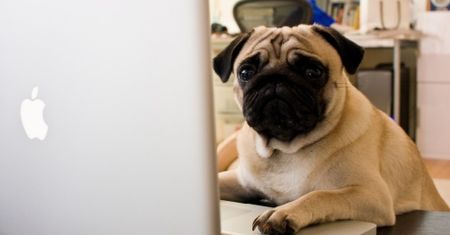 Czym może nas zaskoczyć MacBook? Letni konkurs Applemanii część 2