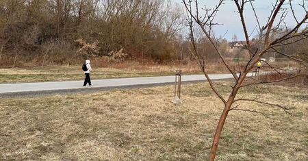 Nowe miejsce do spotkań nad Czechówką. Powstanie boisko do plażówki i miejsce na ognisko