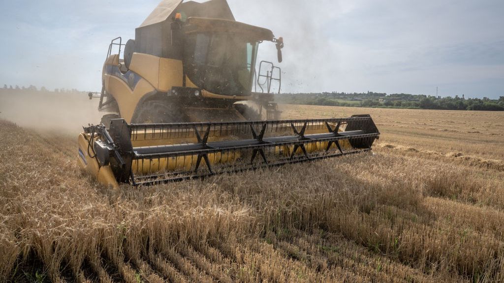 Ukraina będzie mogła wyeksportować w tym roku około 50 mln ton