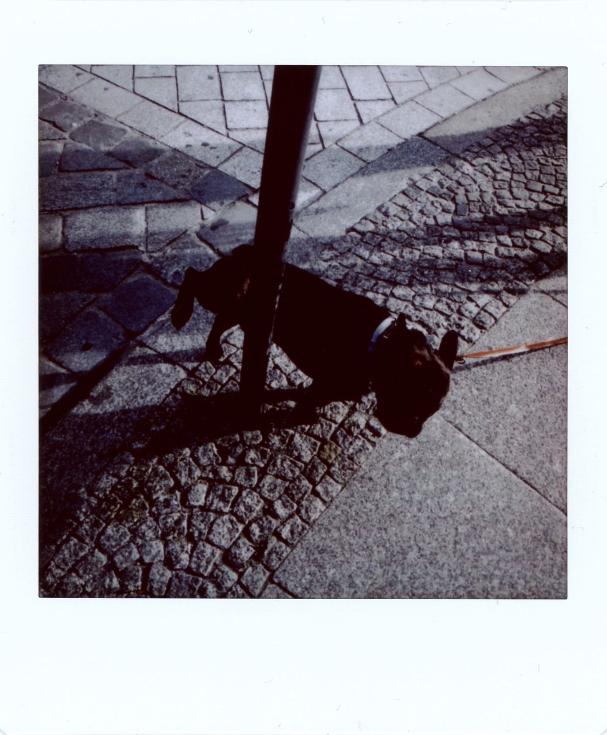 Fujifilm Instax Square SQ10 - kwadratowo, cyfrowo i natychmiastowo [test] 31