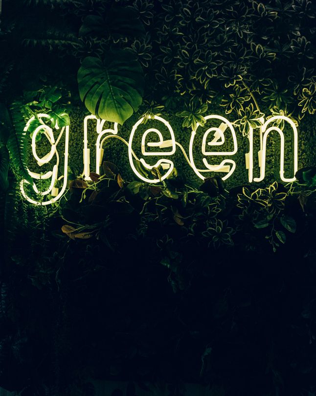 Tapeta na telefon z napisem green