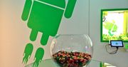 Google potwierdza nazwę nowego Androida? Jelly Bean?