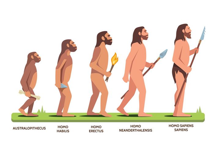 Darwinizm to teoria ewolucji sformułowana w XIX wieku przez angielskiego przyrodnika Karola Darwina