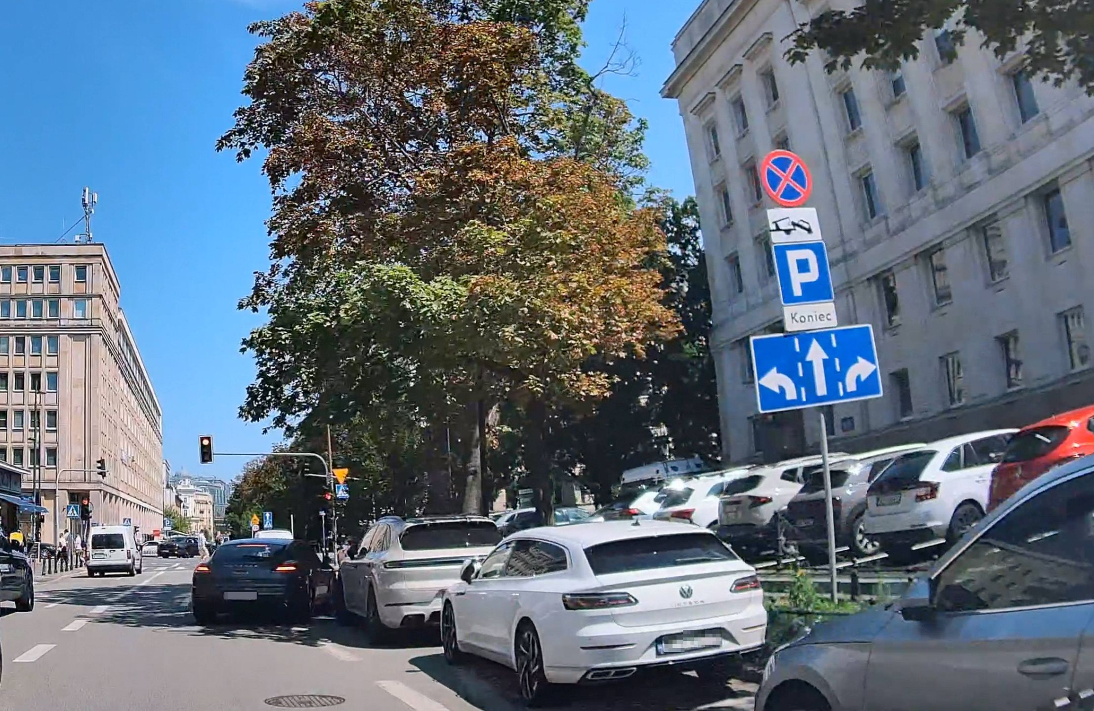 Szalony rajd Kingi Rusin