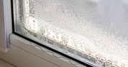 Okna "pocą się"? Połóż na parapecie, a zapomnisz o problemie