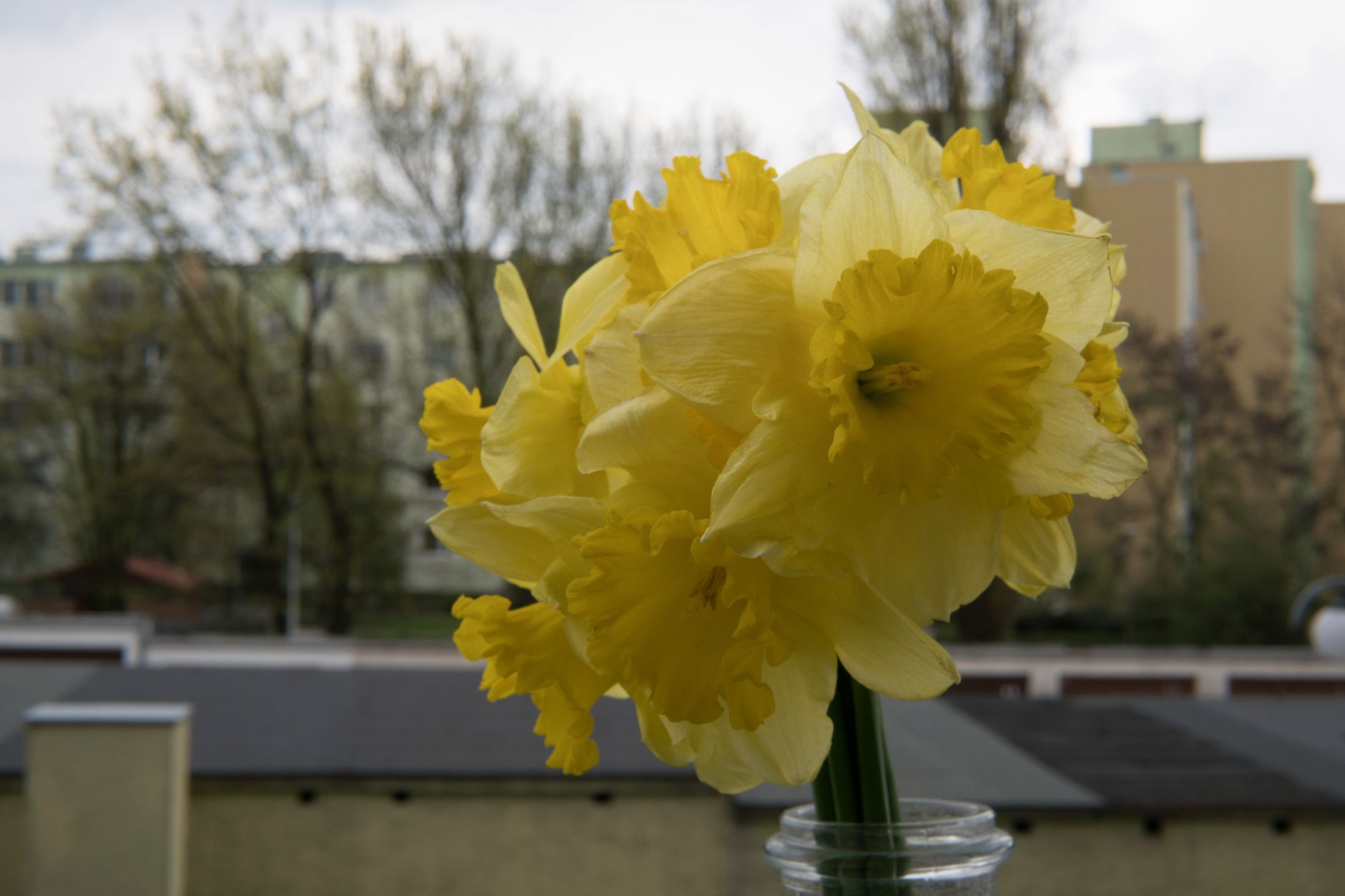 Sigma 30 mm f/1.4 DC DN - recenzja jasnego obiektywu stworzonego z myślą o bezlusterkowcach 28