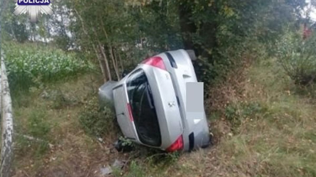 Wypadek przez muchę 