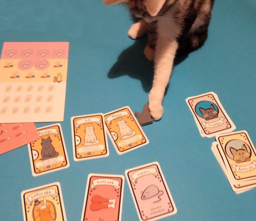 Najlepsza gra o kotach – my już w nią gramy!
