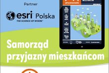 grafika