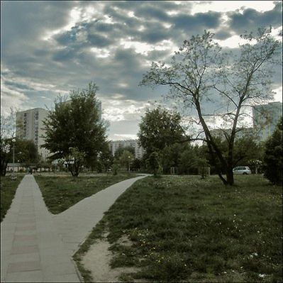 Obraz