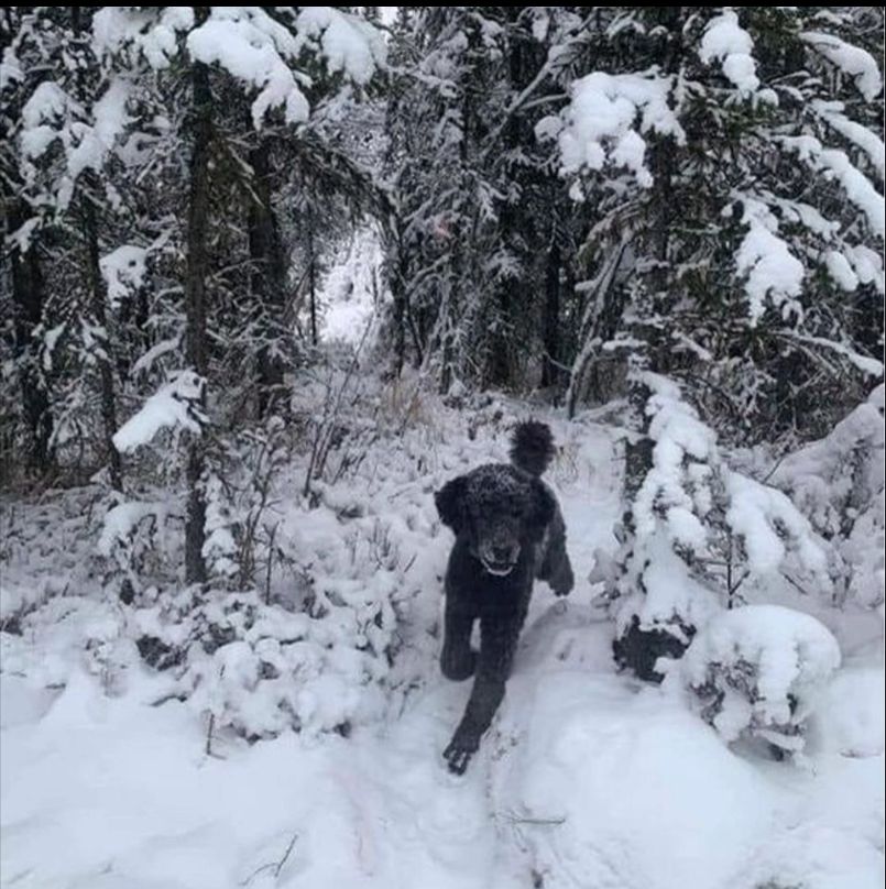 Co widzisz na obrazku?