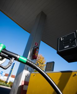 Czy to był napad? Policja komentuje zajście na stacji paliw w Złotoryi