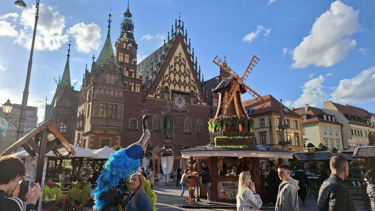 Wrocławski Jarmark Świętojański. Barwne stoiska, dekoracje i tłumy na Rynku