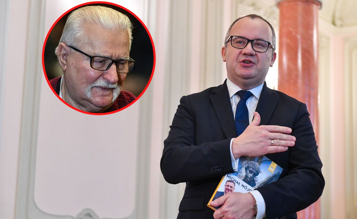 Rząd nie będzie wnosił zastrzeżeń do orzeczenia, jakie zapadło w sprawie Wałęsa przeciwko Polsce