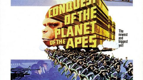 Małpowania ciąg dalszy 1