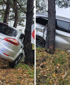 "Wypiłem jedno piwo". 27-latek wylądował na drzewie, policja pokazała zdjęcia