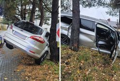 "Wypiłem jedno piwo". 27-latek wylądował na drzewie, policja pokazała zdjęcia