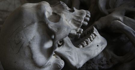 Zabrakło bardzo niewiele. Przodkowie ludzi byli o krok od wyginięcia