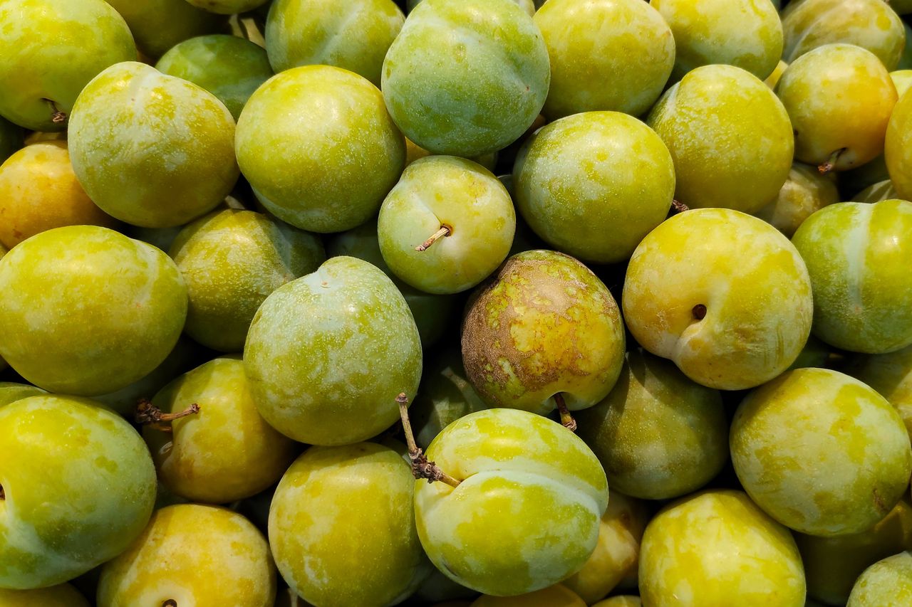 Mirabelle plums have amazing properties