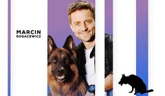 „Komisarz Alex” wrócił na plan. Kiedy premiera nowego sezonu?