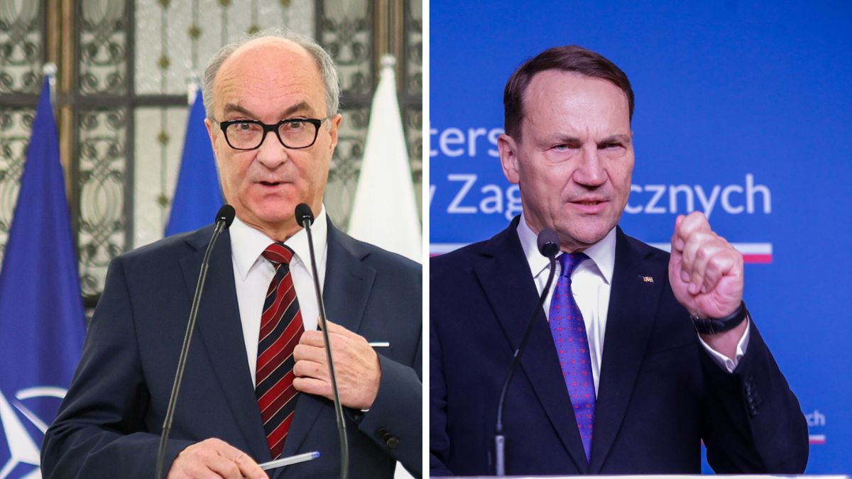 Włodzimierz Czarzasty i Radosław Sikorski