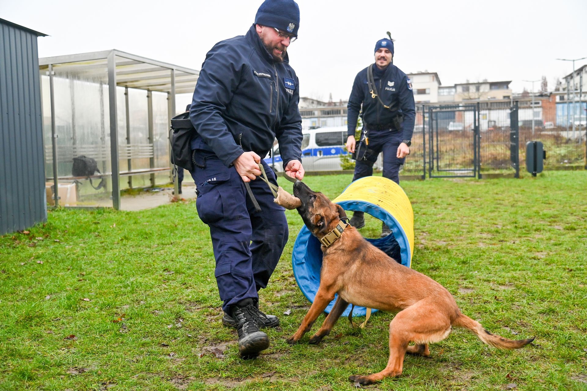 Groźny pies zaatakował kobietę. Szybka reakcja kierowców uratowała jej życie