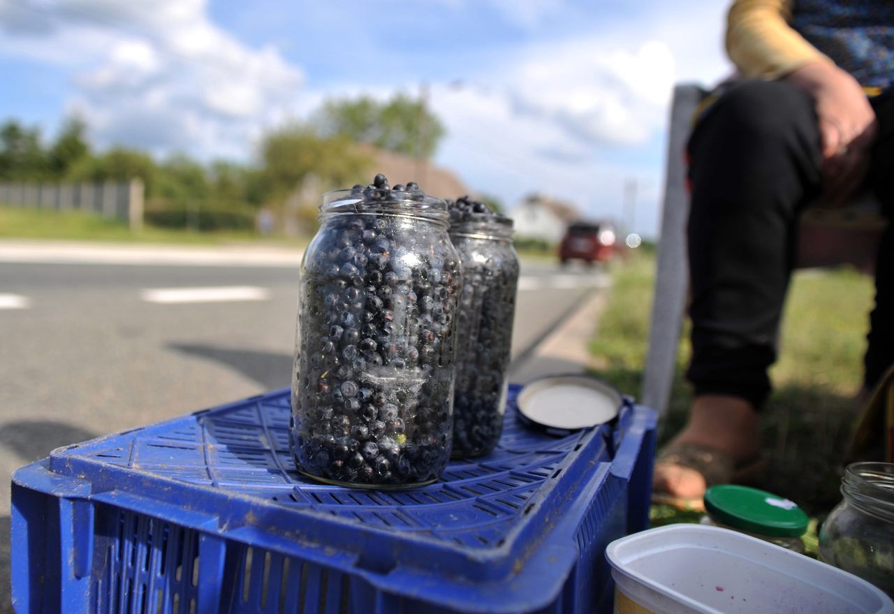 Jagody są droższe niż rok temu