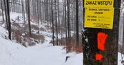 Beskidy. Wyruszacie w trasę? Patrzcie na znaki