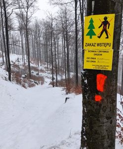 Beskidy. Wyruszacie w trasę? Patrzcie na znaki