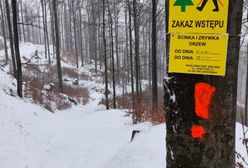 Beskidy. Wyruszacie w trasę? Patrzcie na znaki