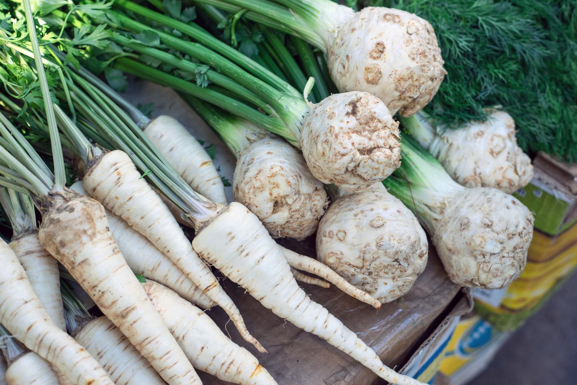 W selerze i pietruszce znajdziemy apigeninę