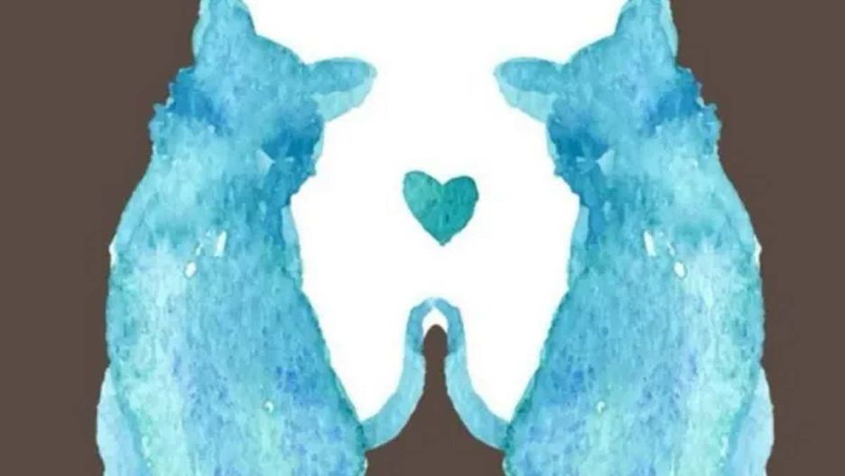 Co zobaczyłeś najpierw? Odpowiedź ma duże znaczenie