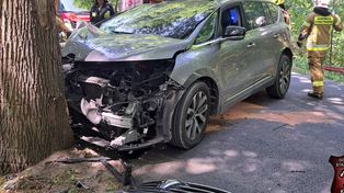 Renault uderzył w drzewo. Kierowca wyszedł bez poważnych obrażeń