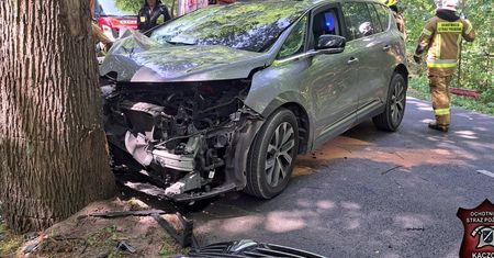 Renault uderzył w drzewo. Kierowca wyszedł bez poważnych obrażeń