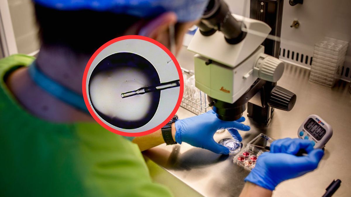 Śledztwo w sprawie dawcy nasienia ujawniło wstrząsające fakty