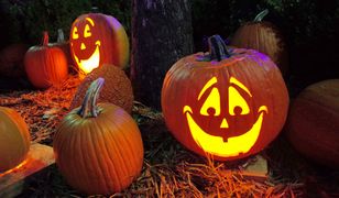 Proboszcz zniszczył dynie na Halloween. O sprawie piszą na całym świecie