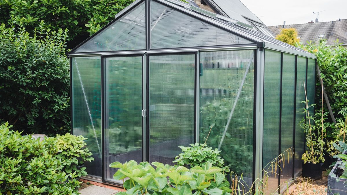 Jak zadbać o szklarnię przed sezonem?