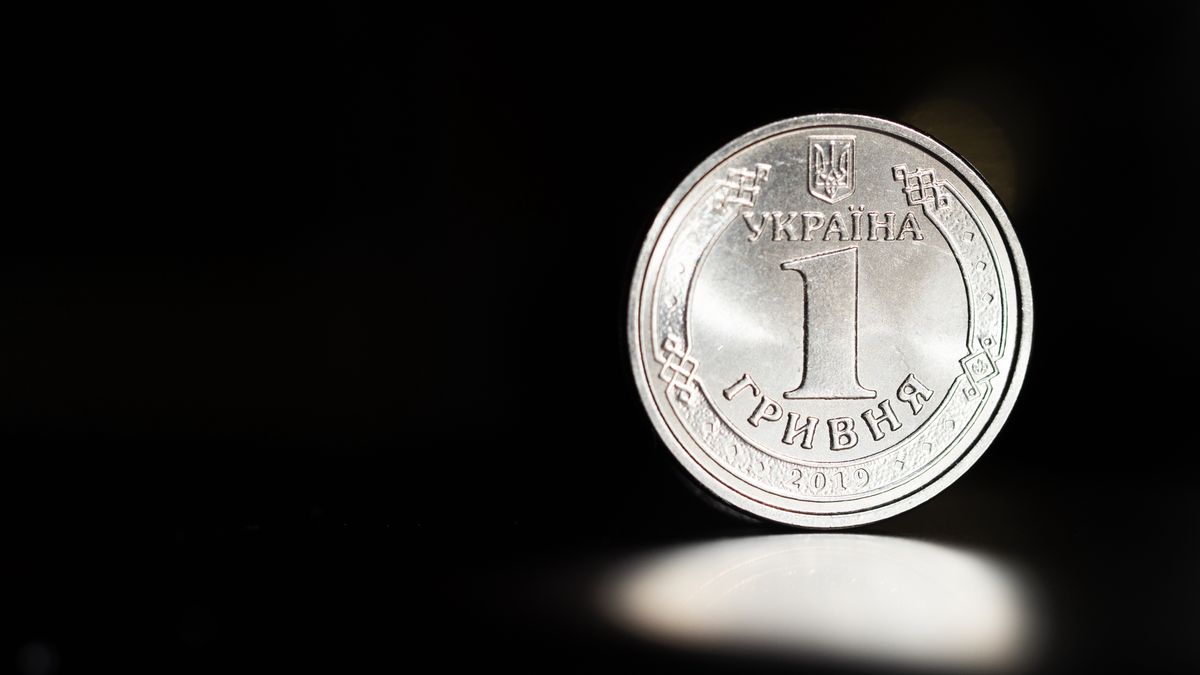 Zdjęcie ilustracyjne hrywny