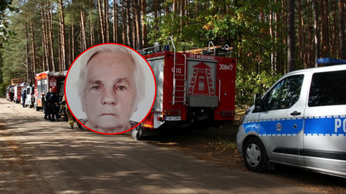83-latka zaginęła. Wyszła na grzyby w niedzielę.