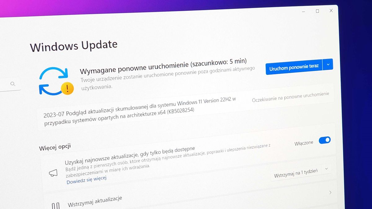 Aktualizacja KB5028254 w Windows Update